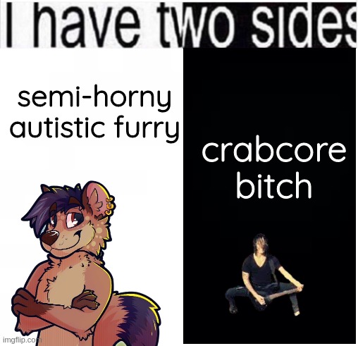 i have two sides | semi-horny autistic furry; crabcore bitch | image tagged in i have two sides | made w/ Imgflip meme maker