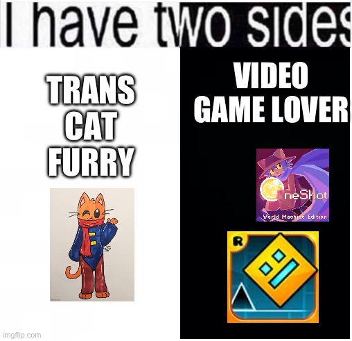 Me fr | VIDEO GAME LOVER; TRANS
CAT FURRY | image tagged in i have two sides | made w/ Imgflip meme maker