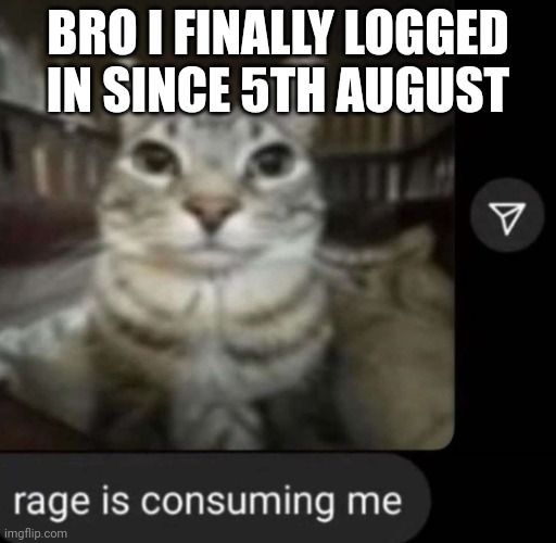 rage is consuming me | BRO I FINALLY LOGGED IN SINCE 5TH AUGUST | image tagged in rage is consuming me | made w/ Imgflip meme maker