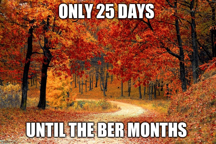Only 25 days until the Ber Months | ONLY 25 DAYS; UNTIL THE BER MONTHS | image tagged in road in autumn | made w/ Imgflip meme maker