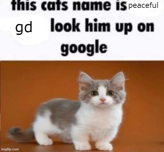 this cats name is x look him up on google | peaceful; gd | image tagged in this cats name is x look him up on google,geometry dash | made w/ Imgflip meme maker