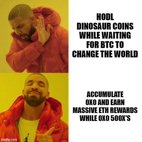 0x0 drake hotline bling | HODL DINOSAUR COINS WHILE WAITING FOR BTC TO CHANGE THE WORLD; ACCUMULATE 0X0 AND EARN MASSIVE ETH REWARDS WHILE 0X0 500X'S | image tagged in drake blank | made w/ Imgflip meme maker