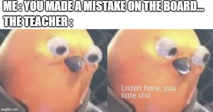 Listen here you little shit bird | ME : YOU MADE A MISTAKE ON THE BOARD... THE TEACHER : | image tagged in listen here you little shit bird | made w/ Imgflip meme maker