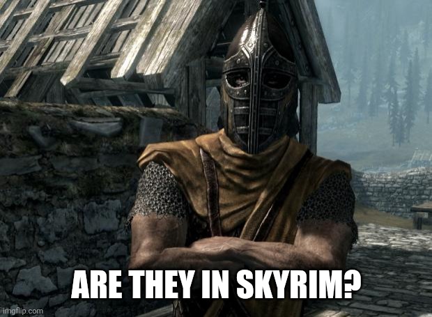 Skyrim guards be like | ARE THEY IN SKYRIM? | image tagged in skyrim guards be like | made w/ Imgflip meme maker