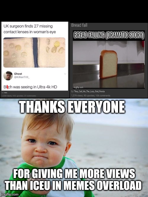 Thx everyone! | THANKS EVERYONE; FOR GIVING ME MORE VIEWS THAN ICEU IN MEMES OVERLOAD | image tagged in memes,success kid original | made w/ Imgflip meme maker