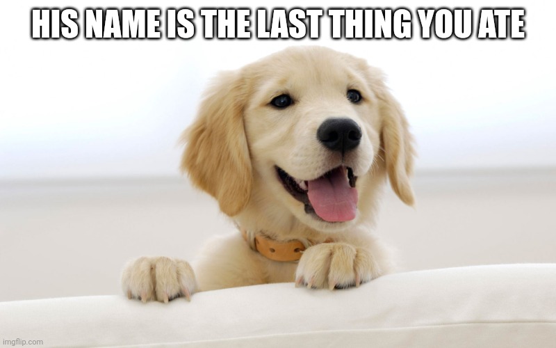 His name is the last thing you ate | HIS NAME IS THE LAST THING YOU ATE | image tagged in cute dog idiot | made w/ Imgflip meme maker