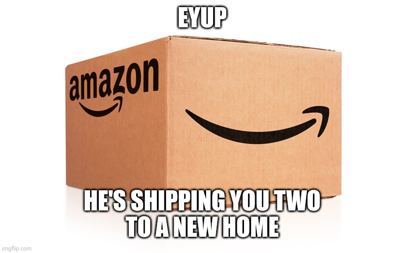 Amazon Box | EYUP HE'S SHIPPING YOU TWO
TO A NEW HOME | image tagged in amazon box | made w/ Imgflip meme maker