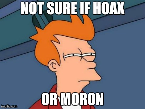 Futurama Fry Meme | NOT SURE IF HOAX OR MORON | image tagged in memes,futurama fry | made w/ Imgflip meme maker