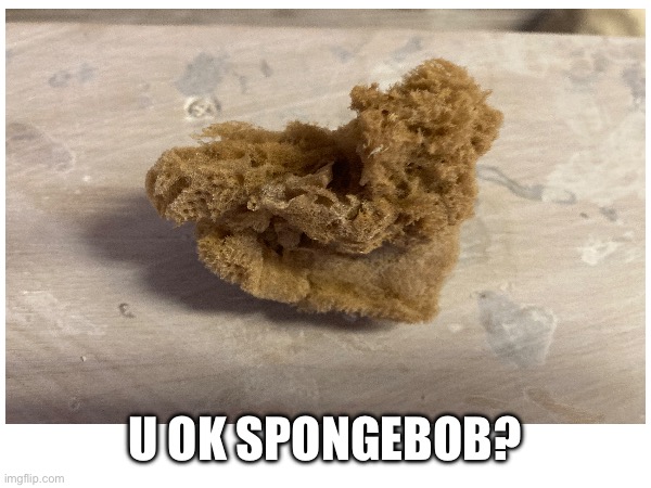 Ded SpongeBob | U OK SPONGEBOB? | image tagged in memes,funny,spongebob | made w/ Imgflip meme maker