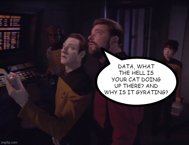 Spot is Nasty | DATA, WHAT THE HELL IS YOUR CAT DOING UP THERE? AND WHY IS IT GYRATING? | image tagged in star trek ng | made w/ Imgflip meme maker