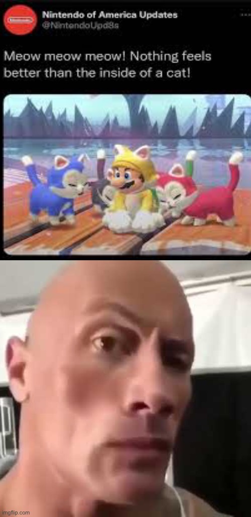 The Rock Eyebrows | image tagged in the rock eyebrows,mario | made w/ Imgflip meme maker