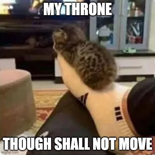cat throne | MY THRONE; THOUGH SHALL NOT MOVE | image tagged in cat on foot | made w/ Imgflip meme maker