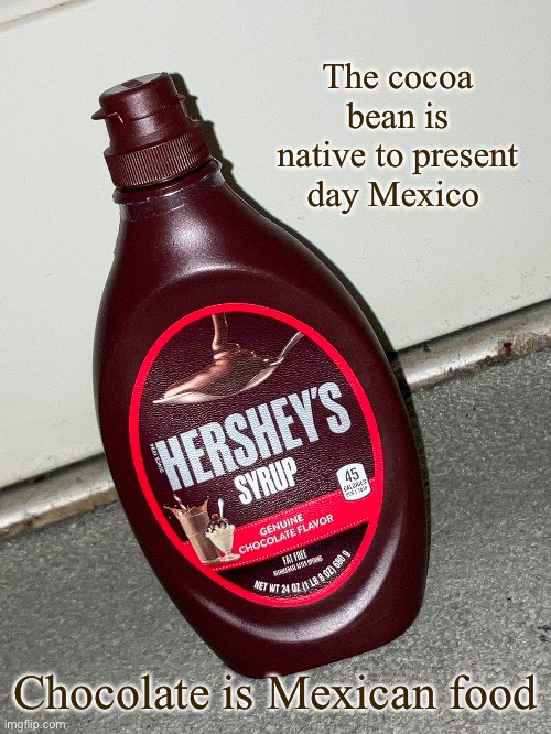Did you day chocolate? | The cocoa bean is native to present day Mexico; Chocolate is Mexican food | image tagged in chocolate,choccy milk,have some choccy milk,mexican,mexico | made w/ Imgflip meme maker