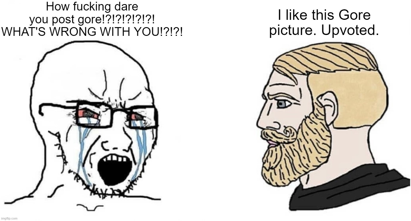 crying wojak vs chad | How fucking dare you post gore!?!?!?!?!?! WHAT'S WRONG WITH YOU!?!?! I like this Gore picture. Upvoted. | image tagged in crying wojak vs chad | made w/ Imgflip meme maker