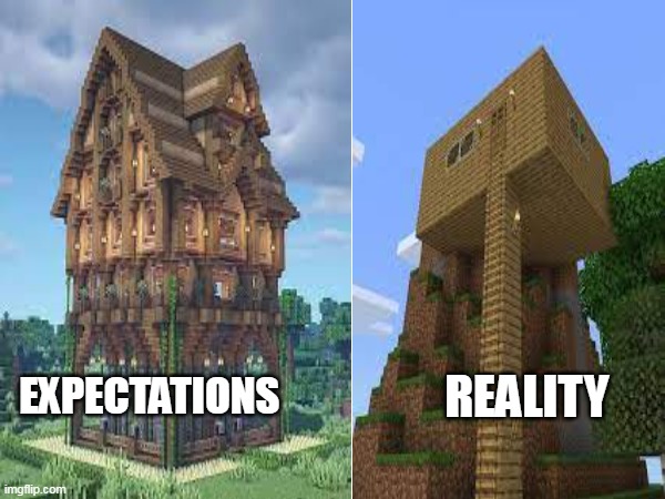 So true memes 5 | REALITY; EXPECTATIONS | image tagged in so true memes | made w/ Imgflip meme maker