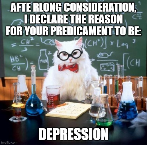 Chemistry Cat Meme | AFTE RLONG CONSIDERATION, I DECLARE THE REASON FOR YOUR PREDICAMENT TO BE:; DEPRESSION | image tagged in memes,chemistry cat | made w/ Imgflip meme maker