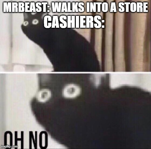 yea theyre gonna be there awhile | MRBEAST: WALKS INTO A STORE; CASHIERS: | image tagged in oh no cat,mrbeast,store,cashier | made w/ Imgflip meme maker