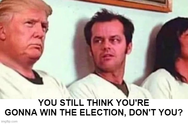 Election Delusions | YOU STILL THINK YOU'RE GONNA WIN THE ELECTION, DON'T YOU? | image tagged in politics,trump | made w/ Imgflip meme maker