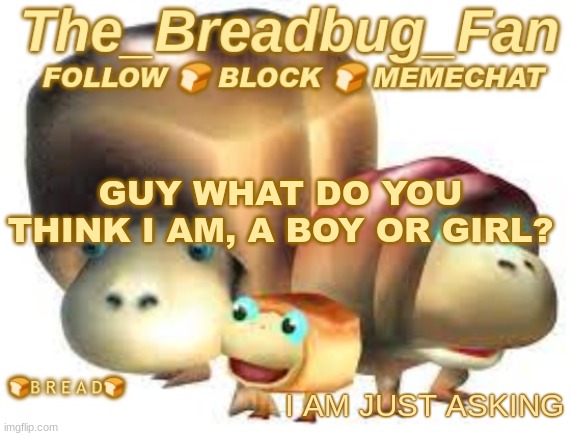 Questions | GUY WHAT DO YOU THINK I AM, A BOY OR GIRL? I AM JUST ASKING | image tagged in the_breadbug_fan announcement template,e,question | made w/ Imgflip meme maker
