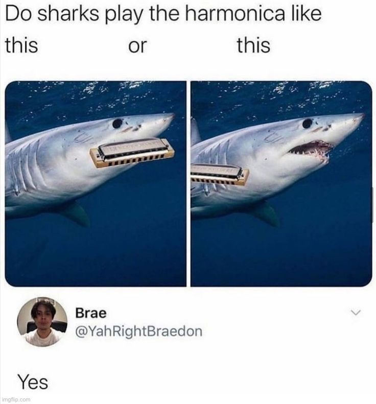 image tagged in memes | made w/ Imgflip meme maker