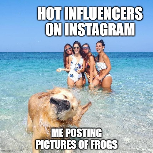 i'm the insta frog person | HOT INFLUENCERS ON INSTAGRAM; ME POSTING PICTURES OF FROGS | image tagged in instagram | made w/ Imgflip meme maker