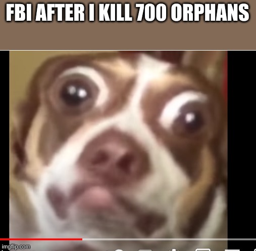 confused dog | FBI AFTER I KILL 700 ORPHANS | image tagged in confused dog | made w/ Imgflip meme maker