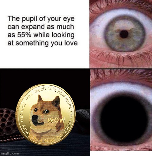 Dogecoin | image tagged in the pupil of your eye can expand,doge,coin,dogecoin,memes,coins | made w/ Imgflip meme maker