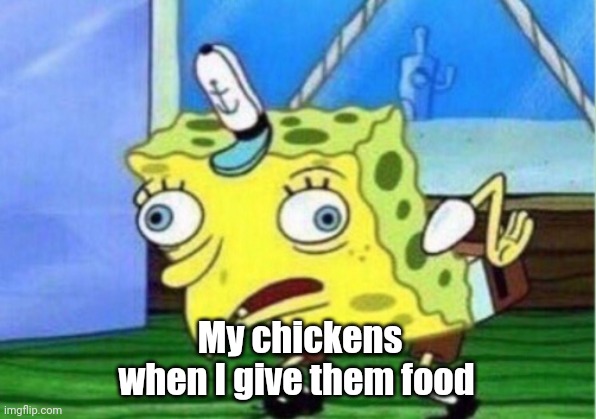 My chickens | My chickens when I give them food | image tagged in memes,mocking spongebob | made w/ Imgflip meme maker
