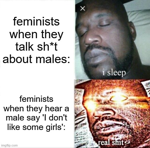 'We're equal' | feminists when they talk sh*t about males:; feminists when they hear a male say 'I don't like some girls': | image tagged in memes,sleeping shaq,feminism,funny,feminist,bruh | made w/ Imgflip meme maker