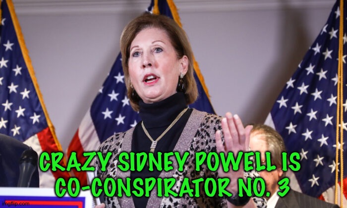 Crazy Sidney | CRAZY SIDNEY POWELL IS 
CO-CONSPIRATOR NO. 3 | image tagged in sidney powell crazytown | made w/ Imgflip meme maker