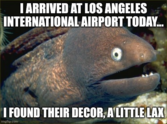 LAC airport is a little lax in the fashion department | I ARRIVED AT LOS ANGELES INTERNATIONAL AIRPORT TODAY... I FOUND THEIR DECOR, A LITTLE LAX | image tagged in memes,bad joke eel | made w/ Imgflip meme maker