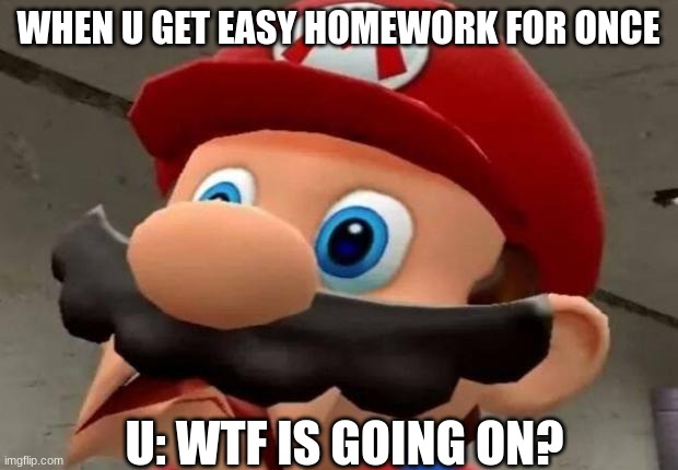Mario WTF | WHEN U GET EASY HOMEWORK FOR ONCE; U: WTF IS GOING ON? | image tagged in mario wtf | made w/ Imgflip meme maker