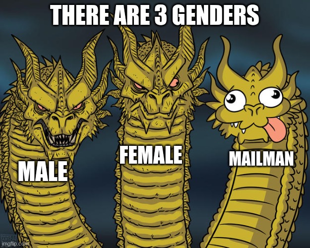3 genders | THERE ARE 3 GENDERS; FEMALE; MAILMAN; MALE | image tagged in three-headed dragon | made w/ Imgflip meme maker
