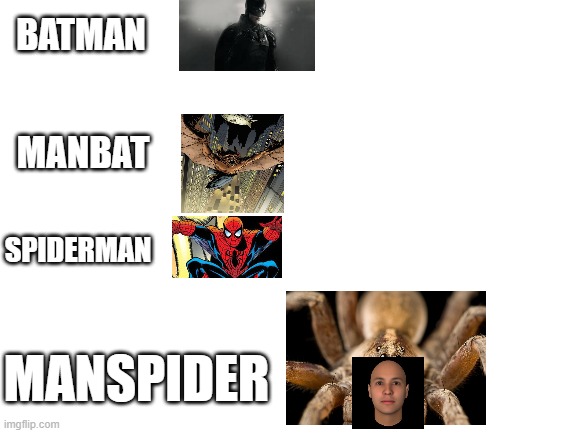 haha funi mem | BATMAN; MANBAT; SPIDERMAN; MANSPIDER | image tagged in blank white template | made w/ Imgflip meme maker