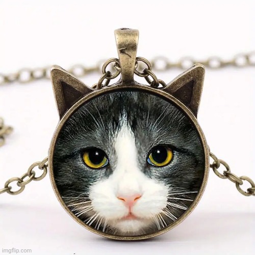 This is a photograph of a novelty pendant featuring cat ears and a colour photograph of a cat. It does not bring good luck, heal | image tagged in cat,photograph,necklace,pendant | made w/ Imgflip meme maker