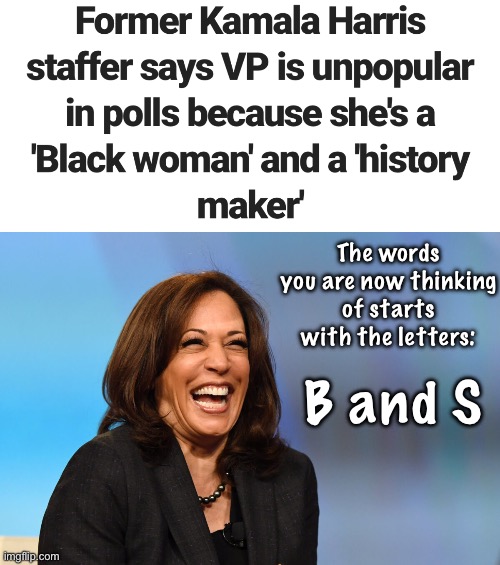 This phrase has two words | The words you are now thinking of starts with the letters:; B and S | image tagged in kamala harris laughing,politics lol,memes,derp | made w/ Imgflip meme maker