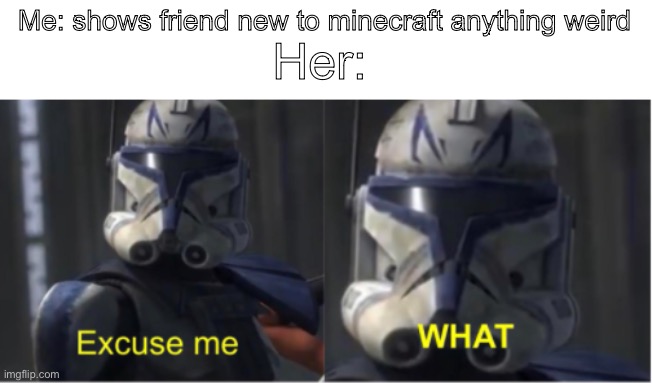Almost anyone when they first start playing MC can relate | Me: shows friend new to minecraft anything weird; Her: | image tagged in excuse me what,minecraft,new player | made w/ Imgflip meme maker