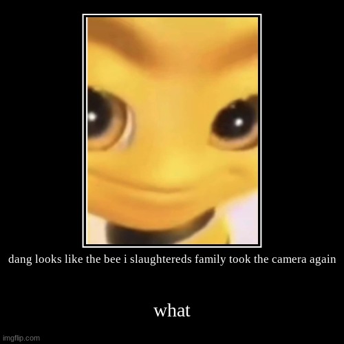 dang looks like the bee i slaughtereds family took the camera again | what | image tagged in funny,demotivationals | made w/ Imgflip demotivational maker