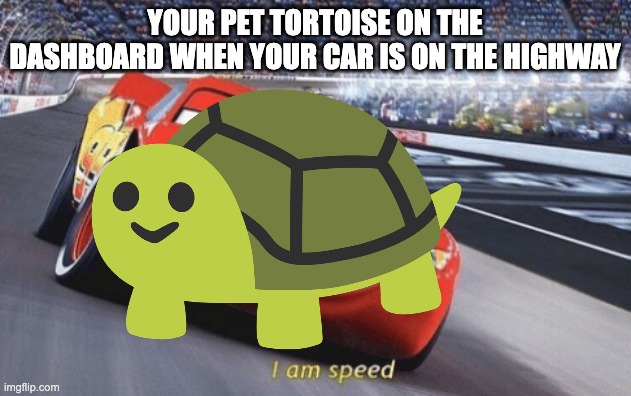 I am speed | YOUR PET TORTOISE ON THE DASHBOARD WHEN YOUR CAR IS ON THE HIGHWAY | image tagged in i am speed | made w/ Imgflip meme maker