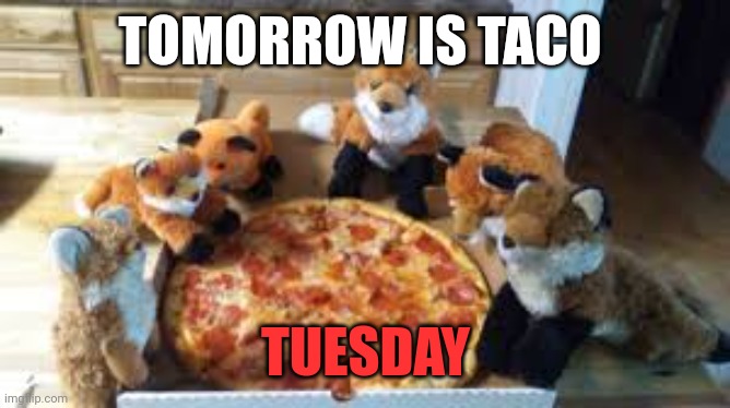 Important facts | TOMORROW IS TACO; TUESDAY | image tagged in foxes,love,pizza | made w/ Imgflip meme maker