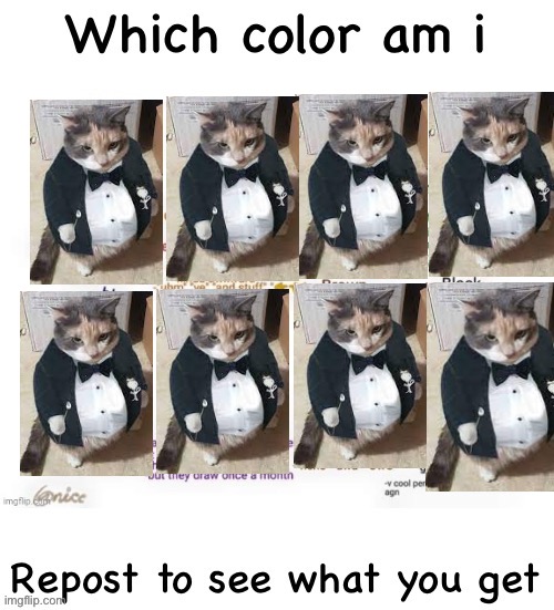 Fixed it so It’s not cringe | image tagged in which color am i | made w/ Imgflip meme maker
