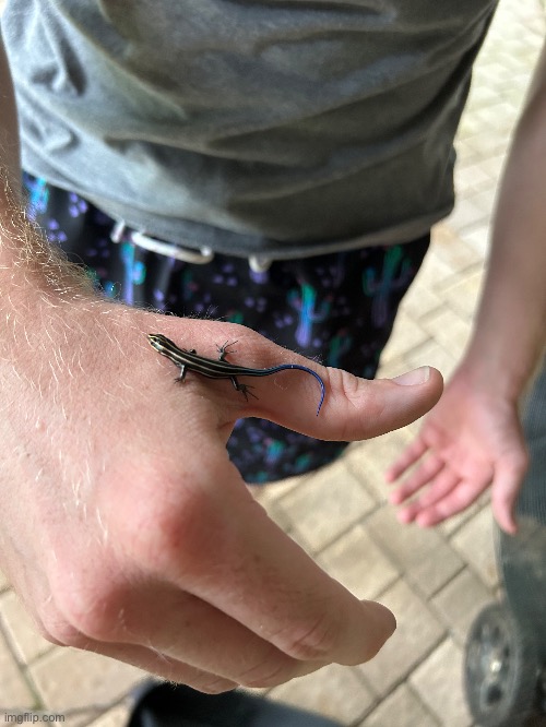 Little bro | made w/ Imgflip meme maker