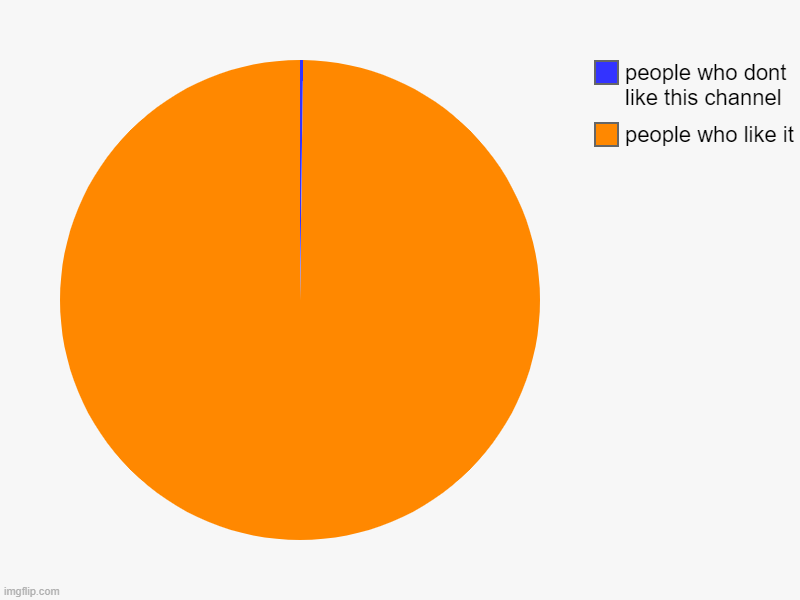 people who like it, people who dont like this channel | image tagged in charts,pie charts,fun,true | made w/ Imgflip chart maker