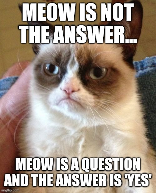 Meow is not the answer | MEOW IS NOT THE ANSWER... MEOW IS A QUESTION AND THE ANSWER IS 'YES' | image tagged in memes,grumpy cat | made w/ Imgflip meme maker