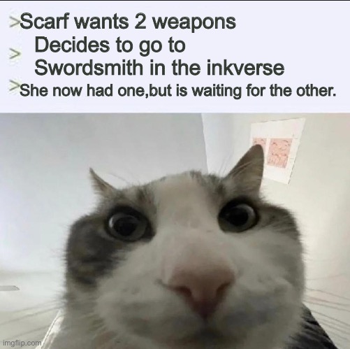 Cat looks inside | Scarf wants 2 weapons; Decides to go to Swordsmith in the inkverse; She now had one,but is waiting for the other. | image tagged in cat looks inside | made w/ Imgflip meme maker