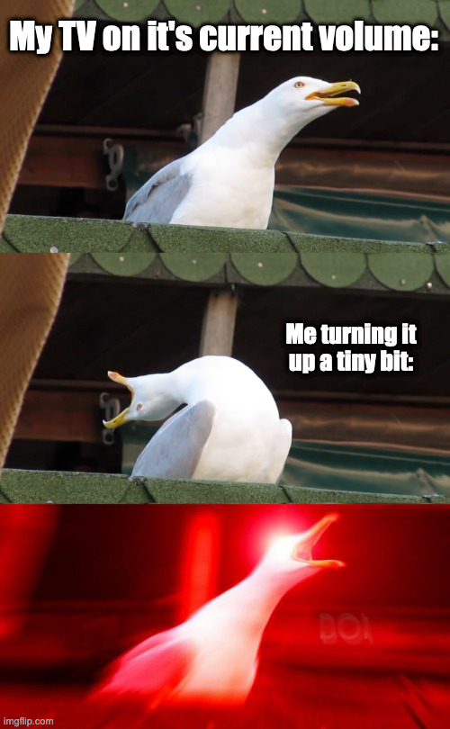 Inhaling seagull | My TV on it's current volume:; Me turning it up a tiny bit: | image tagged in inhaling seagull,tv,life | made w/ Imgflip meme maker