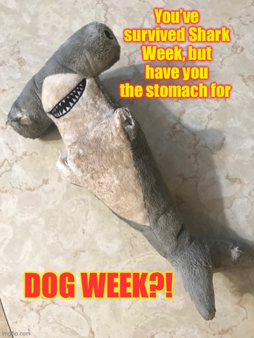 Warning: this scene may be disturbing to sensitive viewers | You’ve survived Shark Week, but have you the stomach for; DOG WEEK?! | image tagged in shark week,dog week | made w/ Imgflip meme maker