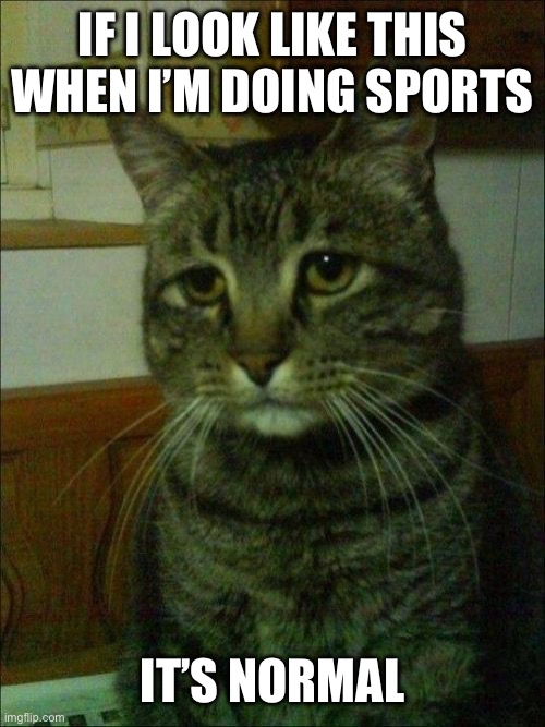 Sometimes it sucks | IF I LOOK LIKE THIS WHEN I’M DOING SPORTS; IT’S NORMAL | image tagged in memes,depressed cat | made w/ Imgflip meme maker