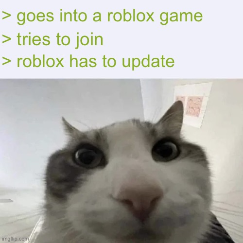 Its always so slow! | > goes into a roblox game; > tries to join; > roblox has to update | image tagged in green text cat | made w/ Imgflip meme maker