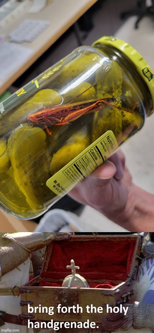 The roach in pickle jar | image tagged in bring forth the holy hand grenade,memes,pickles,pickle jar,reposts,repost | made w/ Imgflip meme maker